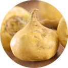 Перуанска Мака